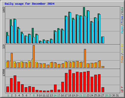 Daily usage for December 2024