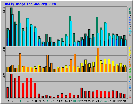 Daily usage for January 2025