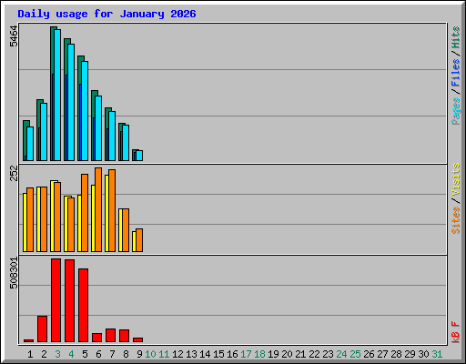 Daily usage for January 2026