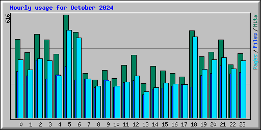 Hourly usage for October 2024