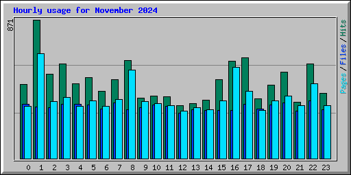 Hourly usage for November 2024