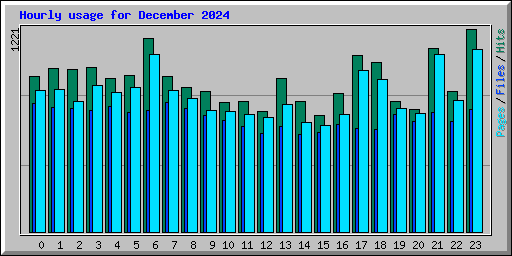 Hourly usage for December 2024