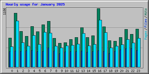 Hourly usage for January 2025