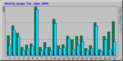 Hourly usage for June 2025