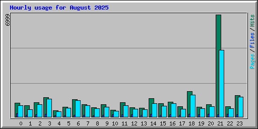 Hourly usage for August 2025