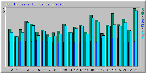 Hourly usage for January 2026
