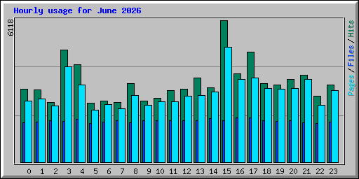 Hourly usage for June 2026