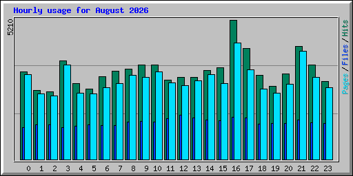 Hourly usage for August 2026