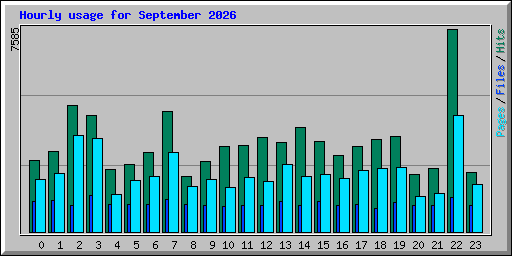 Hourly usage for September 2026