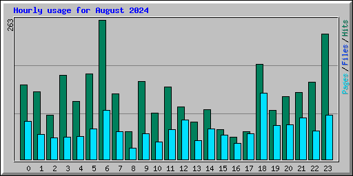 Hourly usage for August 2024