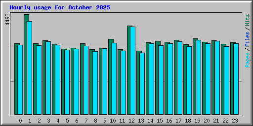 Hourly usage for October 2025