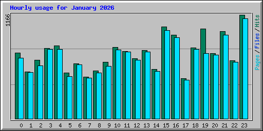 Hourly usage for January 2026