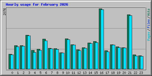 Hourly usage for February 2026