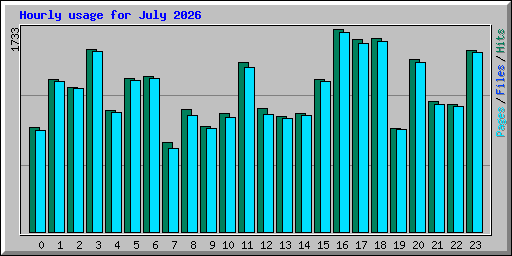 Hourly usage for July 2026